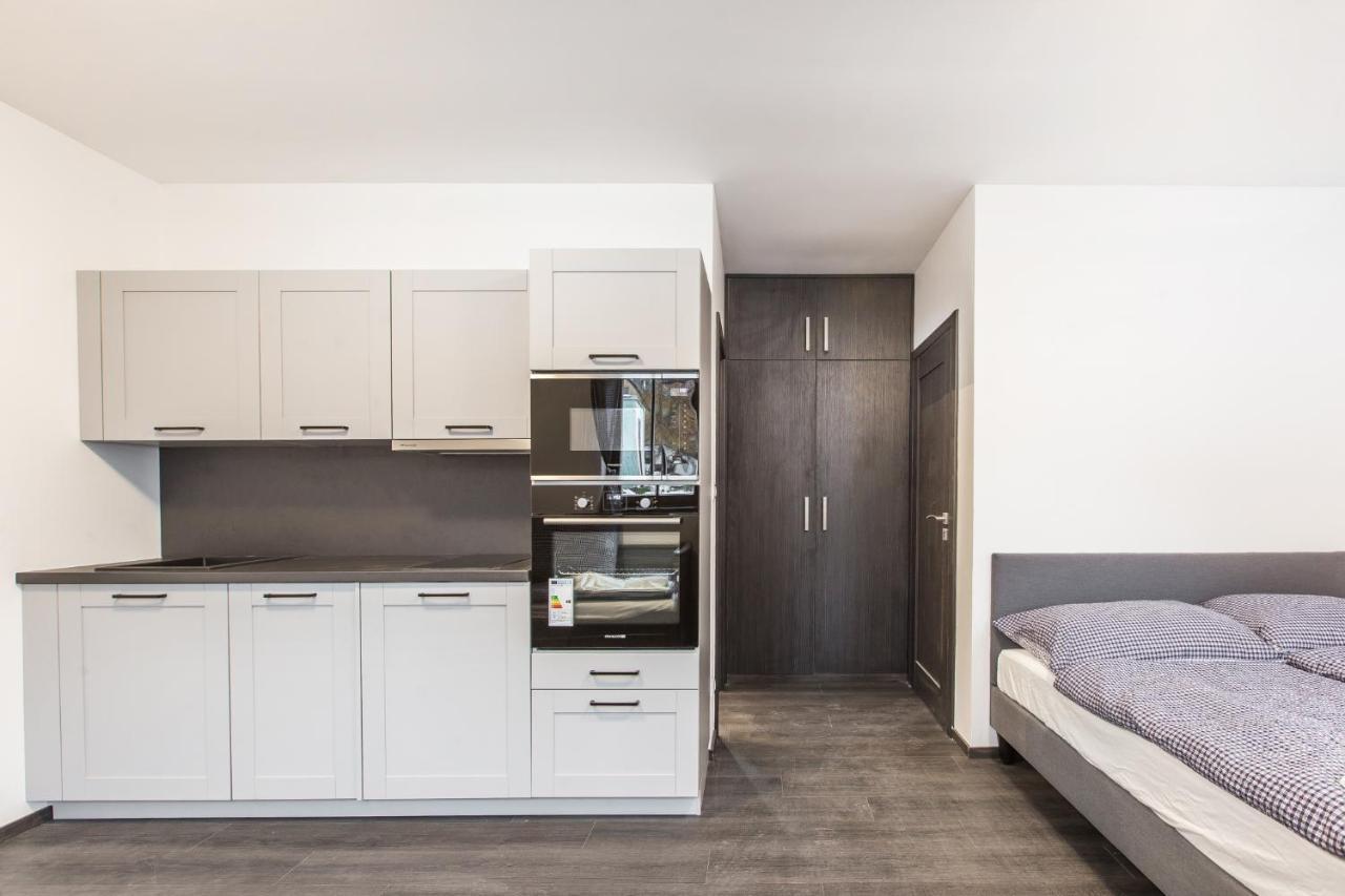 Apartmany Nova Salas Pec pod Sněžkou Extérieur photo